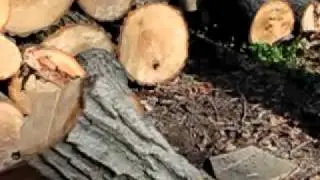 Super Slow Motion - Splitting Wood - Fiskars 28-Inch Splitting Axe