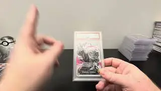 Набор из 10 альтернативных артов One Piece Pillars of Strength OP03 Master Alternate Art PSA.