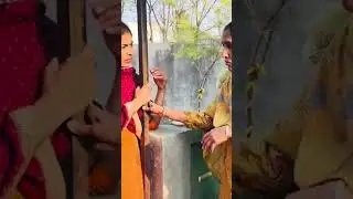 #sidhupunjabtv #shortvideos #punjabishorts #punjabivirsa #punjabi #viralmovie #viral #desi