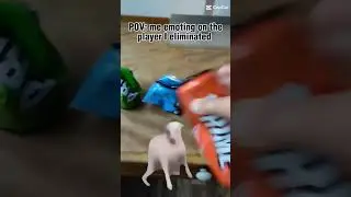 crushing prime energy#dog dancing#meme#foryou#funny