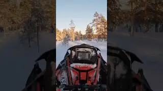 Polaris Matryx 850 155&rdquo;