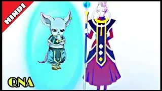 CAN BEERUS SON DO HAKAI ? QNA 2020 - Negus Saiyan ( Dragon Ball Super )