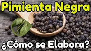 &iquest;C&oacute;mo se Elabora la PIMIENTA NEGRA?🌱 | De la BAYA a la ESPECIA