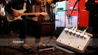 The Panther Delay 