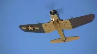Bent-Wing Bird Flyover
