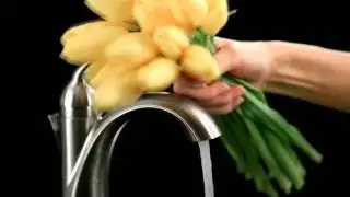 Touch2o.xt Technology for the Bathroom