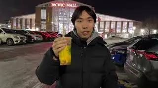 WHY TORONTO IS THE BEST PART 2 - Real Fruit + P mall