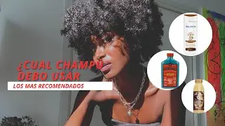 &iquest;Cu&aacute;l es el mejor CHAMP&Uacute;  para el cabello AFRO / Recomendaci&oacute;nes y mis CHAMP&Uacute; FAVORITOS ✨