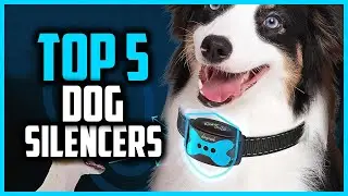 ✅Top 5 Best Dog Silencers in 2024