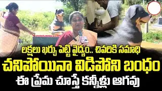 ఇంత ప్రేమ&hellip; మనుషుల్లోనూ | Family Builds Memorial for Their Pet Dog | Emotional Story | SumanTV Vali