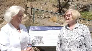History of Wheal Watkins Mine
