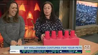 DIY Halloween Dog Costumes