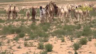 أبل حسين بن هايف بن مناحي المورقي