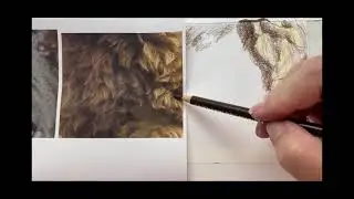 Fur Texture Tutorial - Part 2 - Short Curly Fur