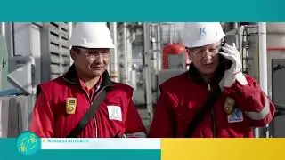 KPO Business Principles