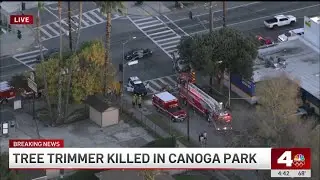 Tree trimmer falls to death in Canoga Park