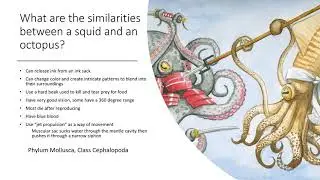 Squidward Q. Tentacles Inverted Classroom