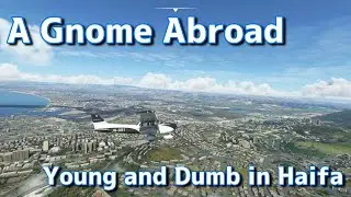 A Gnome Abroad - Young and Dumb in Haifa