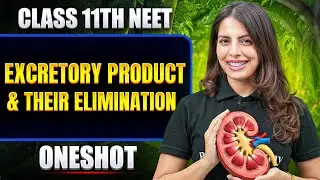 Excretory Products & Elimination in ONE SHOT | All Concept & PYQ | Basic to Advance | Class 11 NEET