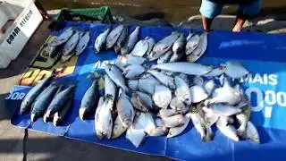 Óbidos - Pará : Peixe e camarão, muito barato, muita fartura