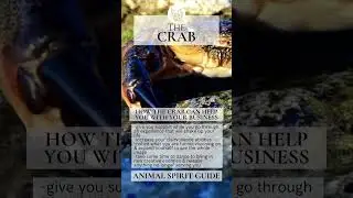 Crab Spirit Animal #spiritualbusiness #businessgrowth #spiritanimal #animalspirit
