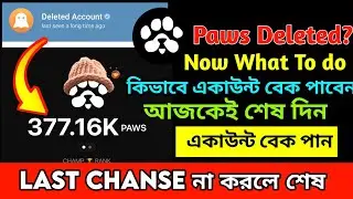 PAWS Deleted How to Connect Wallet Now? Withour Bot Connect Wallet to The Website | Paws verify