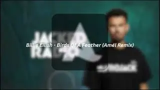 Billie Eilish - Birds Of A Feather (Am&eacute;l Remix) @Afrojack Radio