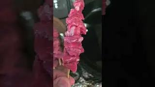 mini kebab. мини Шашлык