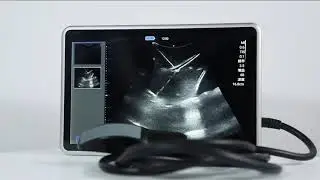 Waterproof probe animal B-ultrasound machine
