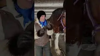 Ирония судьбы, не правда ли? #itsamandalee #horse #cowgirl #horsemusic