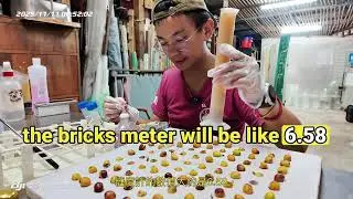 scientific processing: measuring Brix values, pH levels, specific gravity 科學化後製