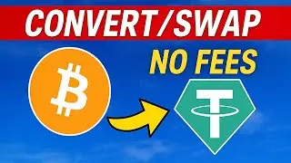 How To Convert BTC To USDT On Bybit [NO FEES & FAST]