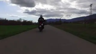 Killer on the road
