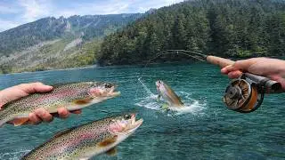 Непрерывная ловля радужной форели 🎣 Рыбалка нахлыстом в Британской Колумбии