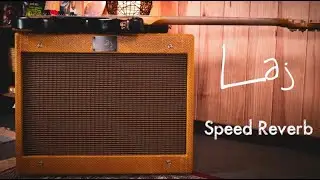LAJ Speed Reverb Amps