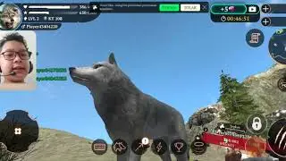 Gw hampir mati mau diamakan - the wolf games