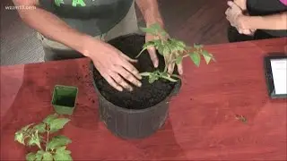 Farm-to-table food and school in the field