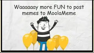 moolameme review and details