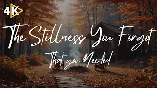 The Stillness You Forgot You Needed 🔥 | Autumn Campfire Ambience for the Soul