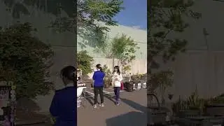 2026元旦蔬食園遊會
