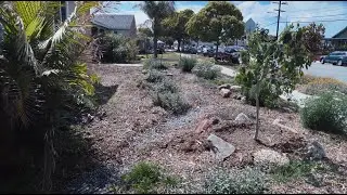 Client Testimonial: Grass Replacement Rebate Program