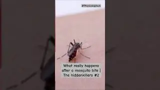 A parasite that hijacks your blood: Story of malaria #malaria#scienceshorts #malarianomore #ytshorts