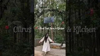 Perfect One Day Outing Place in Bangalore | Citrus Trail | Near Bannerghatta Zoo | #bangalore