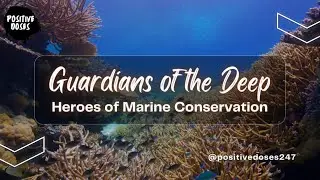 Guardians of the Deep: Heroes of Marine Conservation