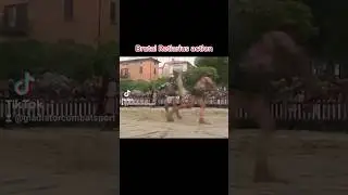 Gladiator Combat Retiarius vs Secutor #gladiator #hema #combat #combatsports