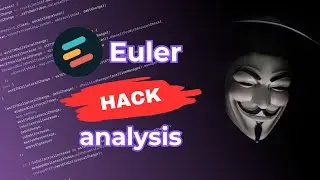Check yourself before you wreck yourself. Euler hack analysis.