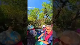 115 0110 四草遊船綠色隧道3