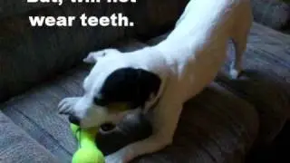 Air Kong Squeaker Toy