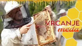 VRCANJE MEDA ²⁰²⁴ | PČELARSTVO JOTANOVIĆ |DG VIDEOS HD