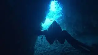 Fiji Diving 2024 - Beqa Lagoon